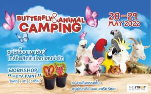 Butterfly & Animal Camping