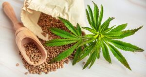 Marijuana,Seeds,In,Scoops,And,Tiny,Leaf,,Ingredients,For,Vegan